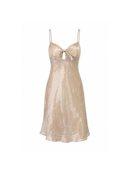 S/S 2003 Christian Dior by John Galliano Sheer Champagne Nude Silk Slip Dress